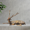 Brass Showpiece Deer 5.13kg